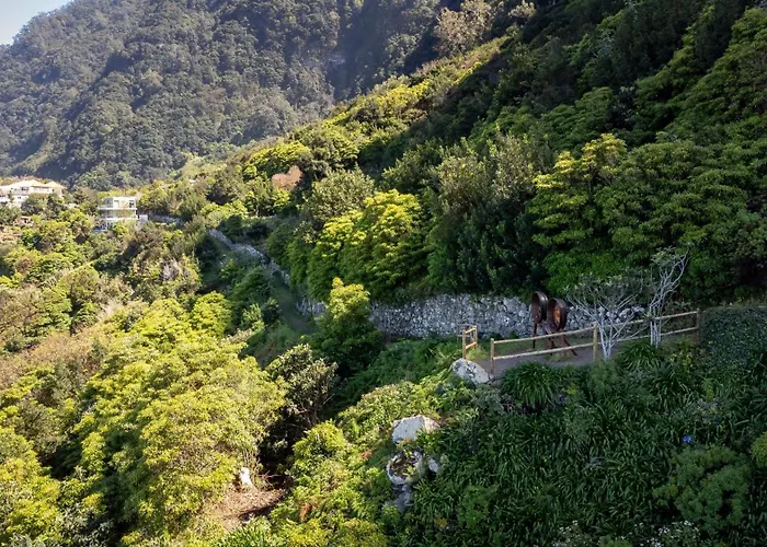 Mar Yam Garden By Atlantic Apartmán *